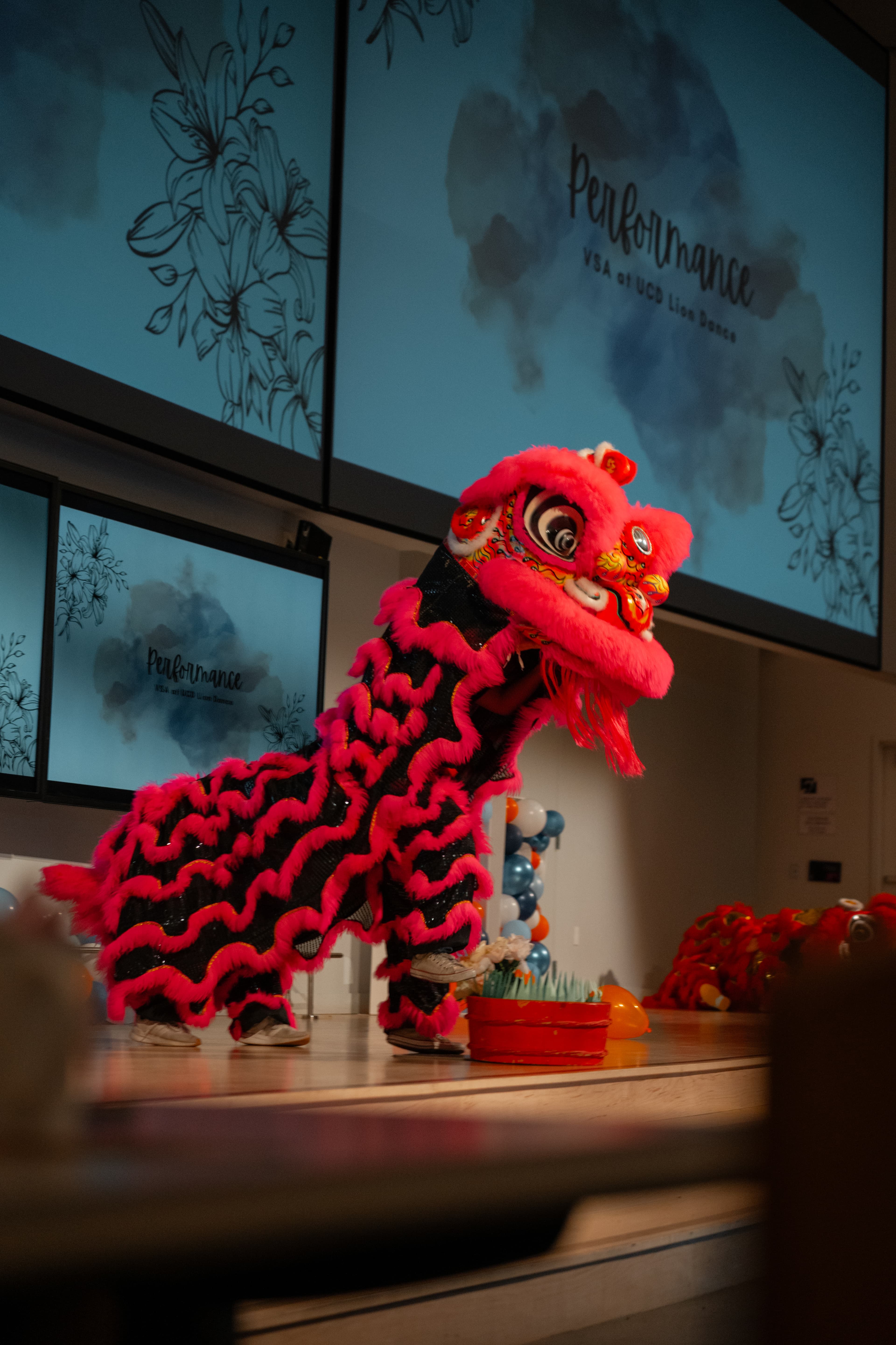 Lion dance performance